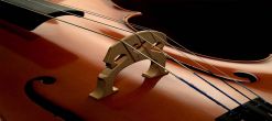 cello